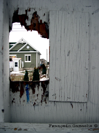 At the sunny side of the wall